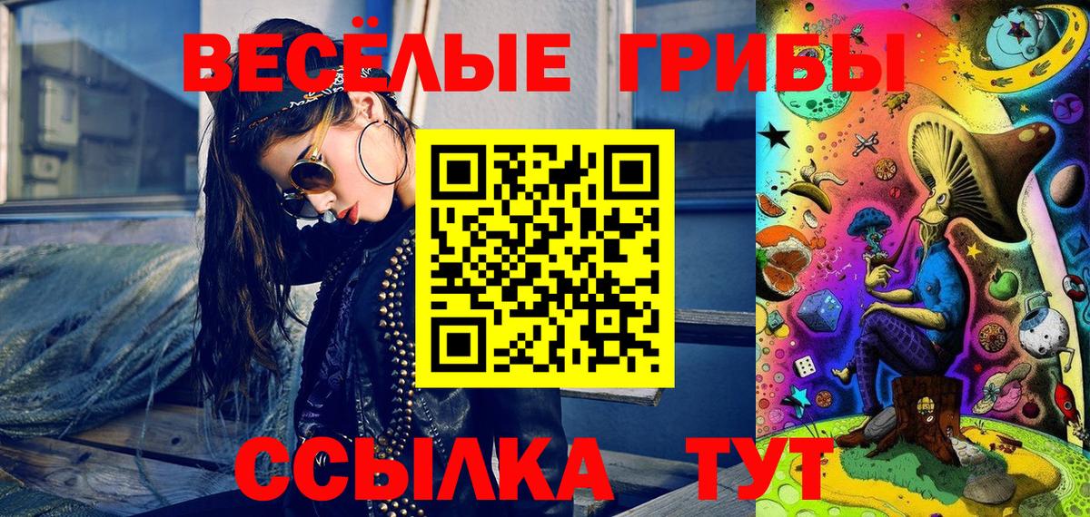 Жигулёвск  Псилоцибиновые грибы GOLDEN TEACHER  купить закладку  Вход с VPN  Галлюциногенные грибы GOLDEN TEACHER 